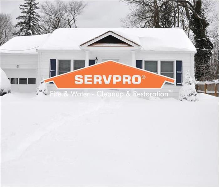 White House snow storm with SERVPRO Logo